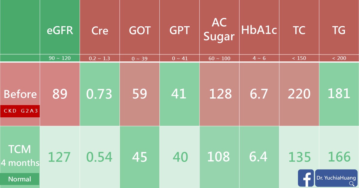 Blood test table before and after 4 months of TCM: eGFR, creatinine, GOT, GPT, fasting sugar, HbA1c, total cholesterol and triglycerides