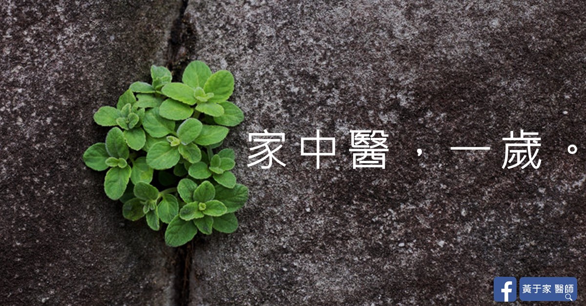 石縫中長出綠色植物的照片,上有文字「家中醫,一歲。」