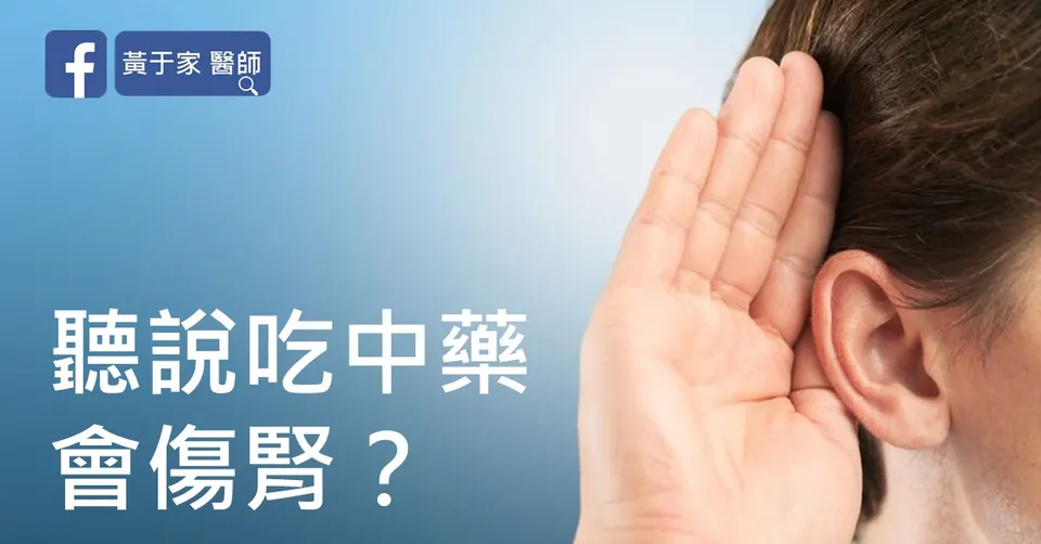 「聽說吃中藥會傷腎？」標題圖